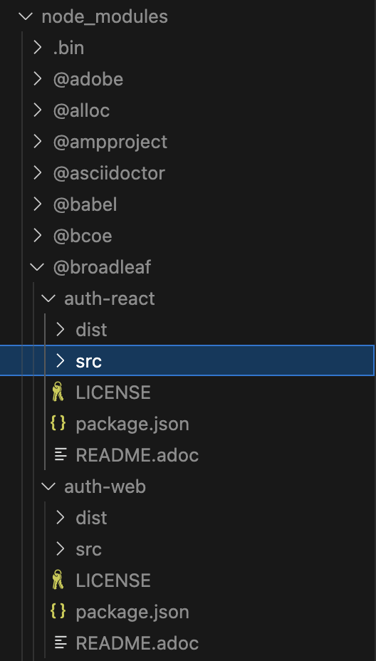 Auth SDKs in Node Modules